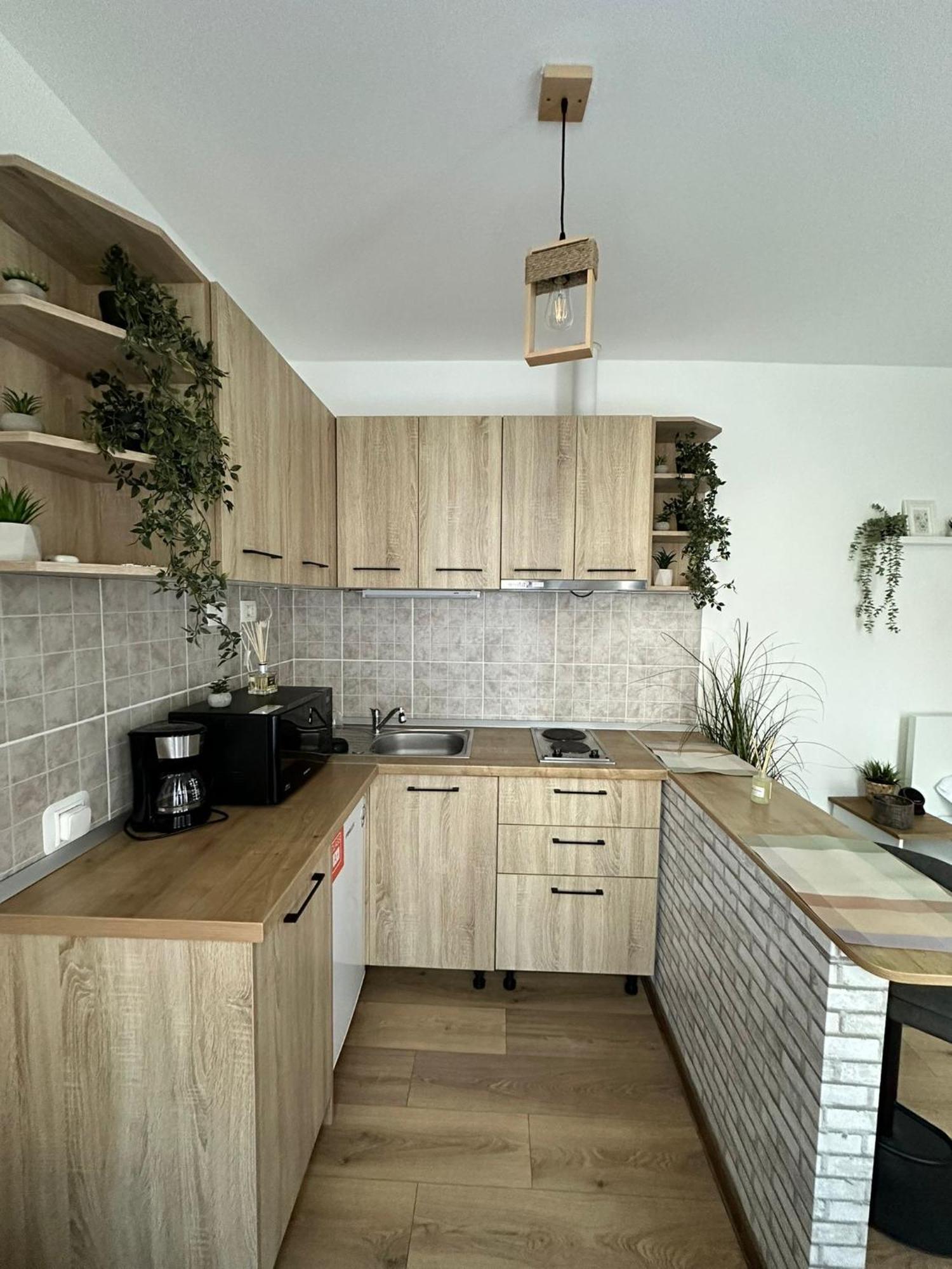 Zen Studio Brašov Exteriér fotografie